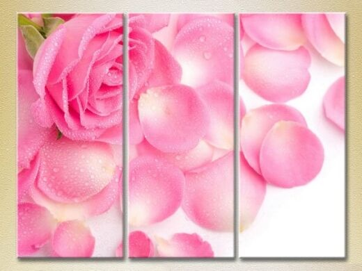 Картина Gallerix Triptych Pink Rose and Petals 01 (2699529)
