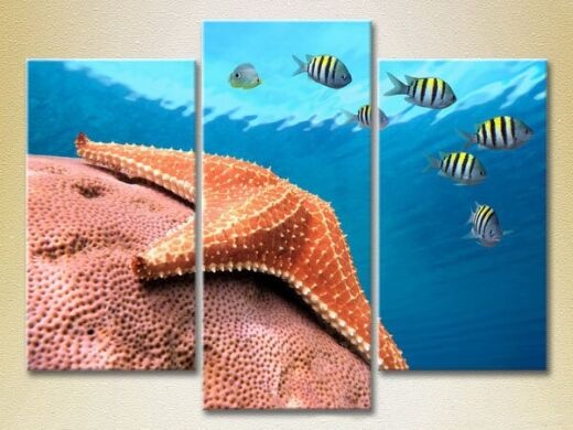 Pictură Gallerix Triptych Starfish at depth 01 (2180938)
