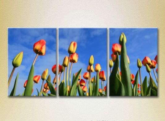 Картина Gallerix Triptych Tulip Field 01 (2699470)