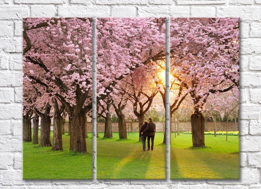 Pictură Gallerix Walk in the park under the cherry blossom trees (500537)