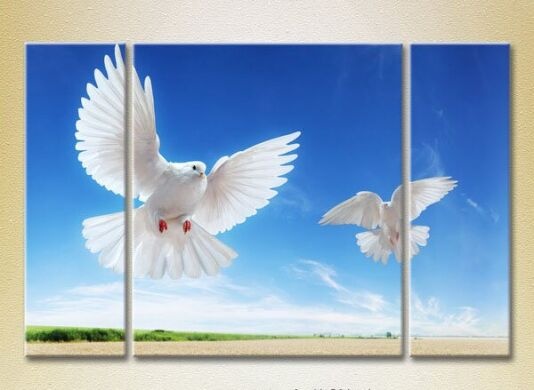Pictură Magic Color Triptych Two pigeons in flight (2698974)