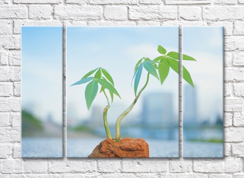 Pictură Magic Color Two green sprouts on a blurred background of a metropolis (500254)