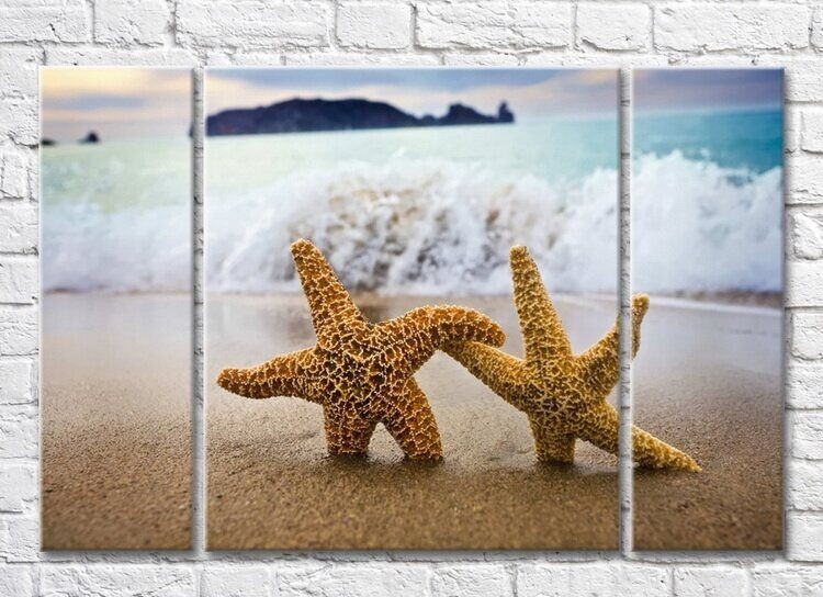 Картина Magic Color Two starfish on a wave background (3469216)