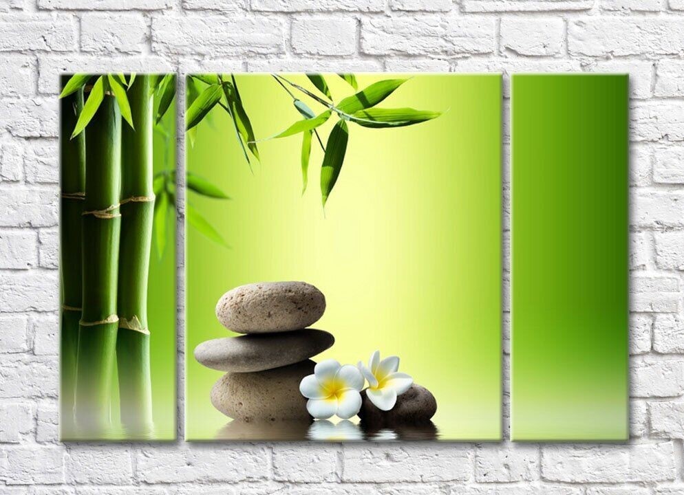 Картина Magic Color White flowers and stones on a Green background with bamboo (500083)