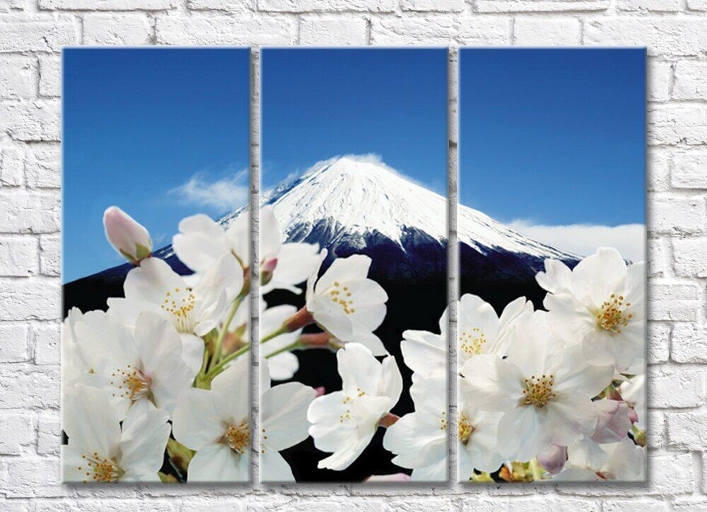Pictură Magic Color White Sakura flowers against the background of Mount Fuji (500081)