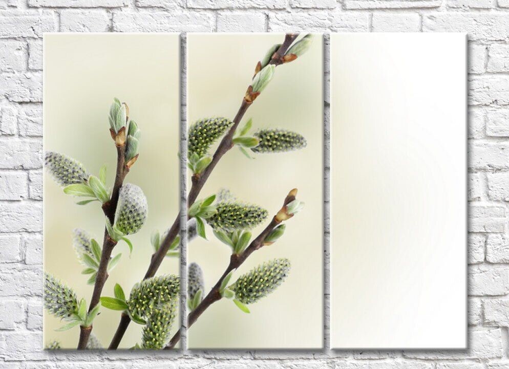 Pictură Magic Color Willow twigs with buds (500234)