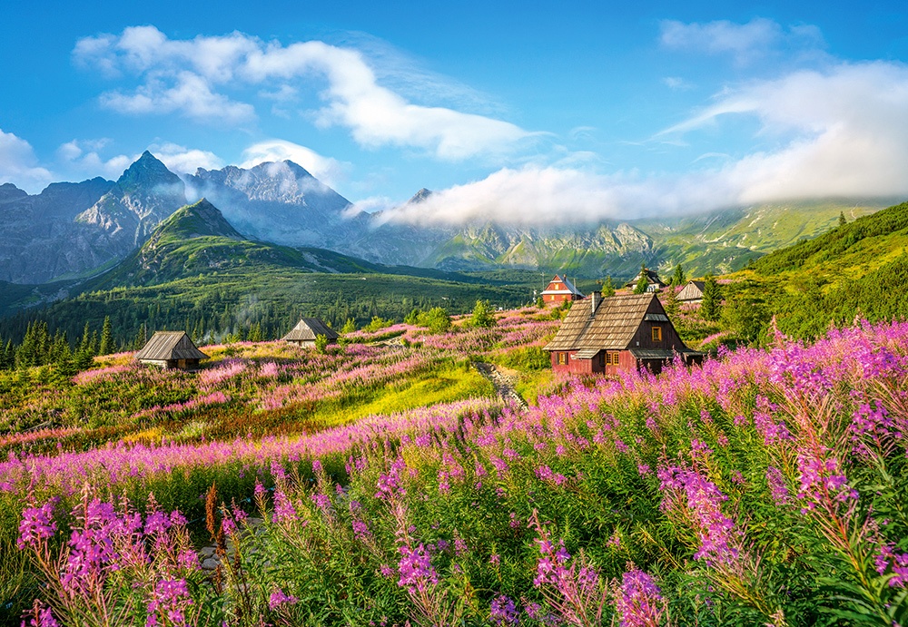 Puzzle Castorland 1000 Hala Gasienicowa. Tatras. Poland (C-104512 )