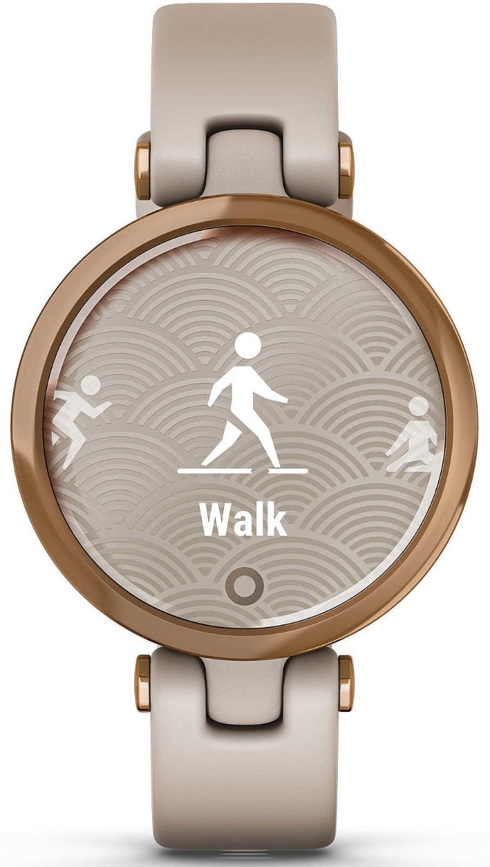 Смарт-часы Garmin Lily (010-02384-11)