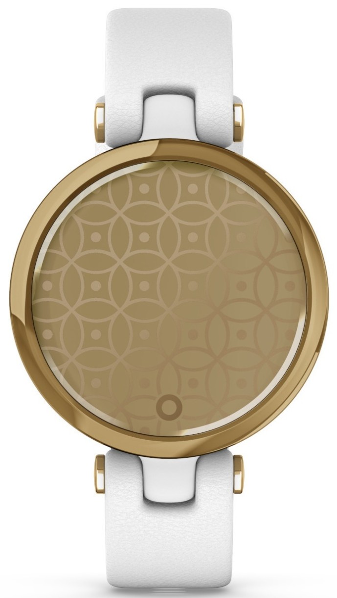 Smartwatch Garmin Lily (010-02384-B3)
