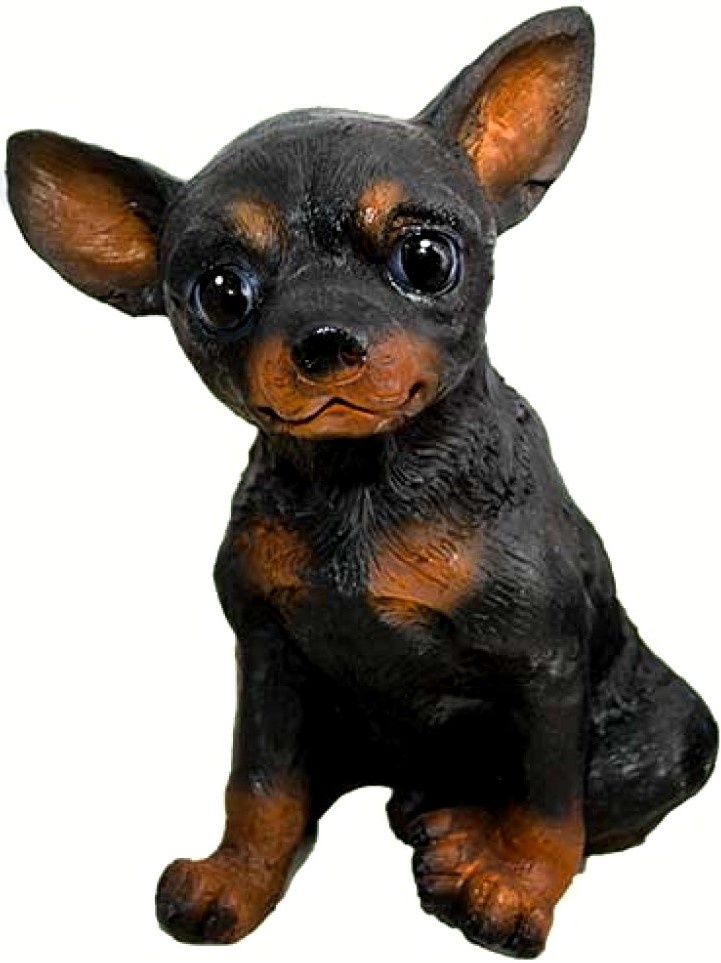 Садовая фигура ArtFigure Toy terrier in picioare (5.492)