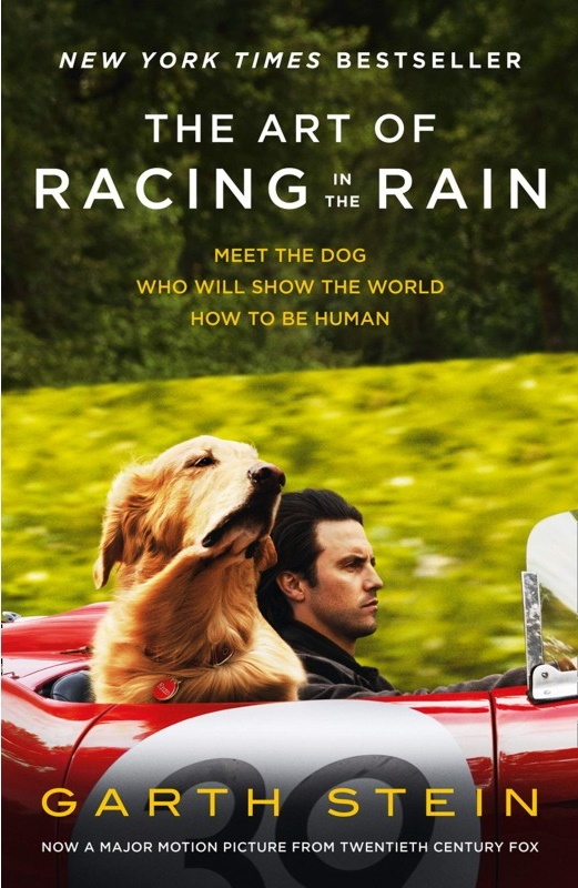 Cartea The Art of Racing in the Rain (9780008347666)
