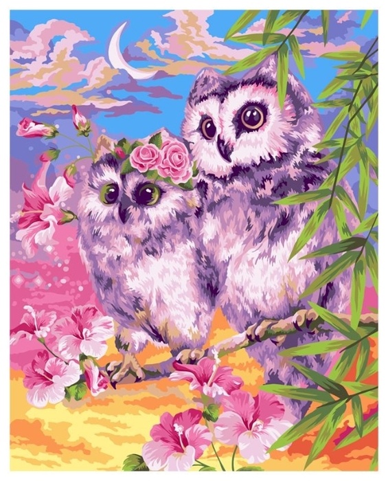 Tablou pe numere Greenwich Bufnite Gingas 40x50cm
