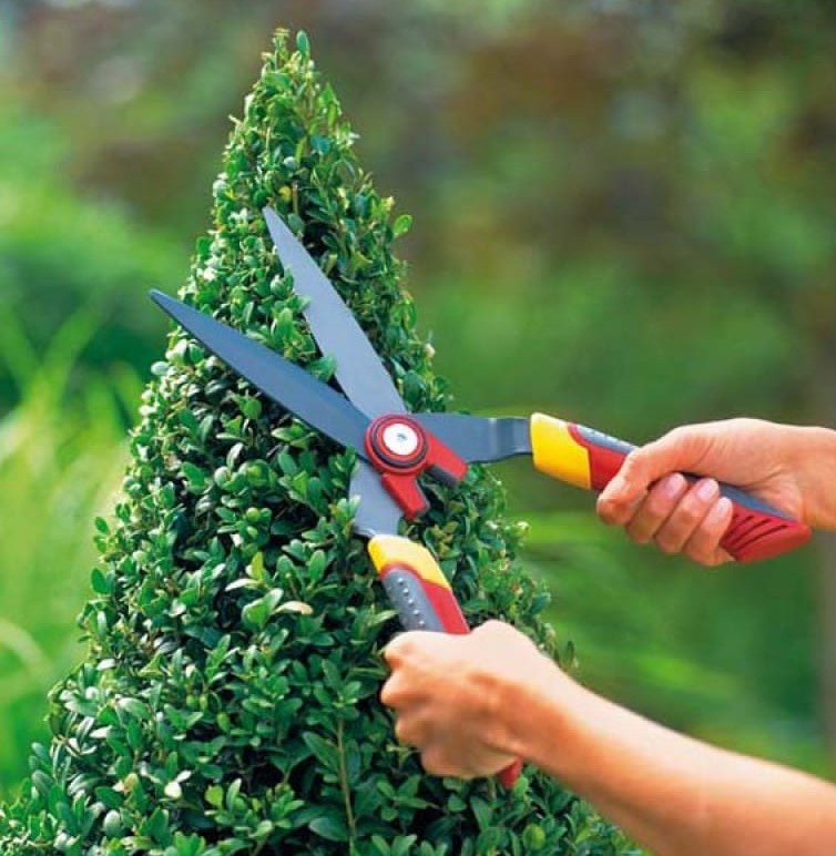 Подстриженные кусты. Ножницы для живой изгороди berger 4590. Для подстригания кустов. Секатор для кустов гардена. Садовые ножницы для кустов.