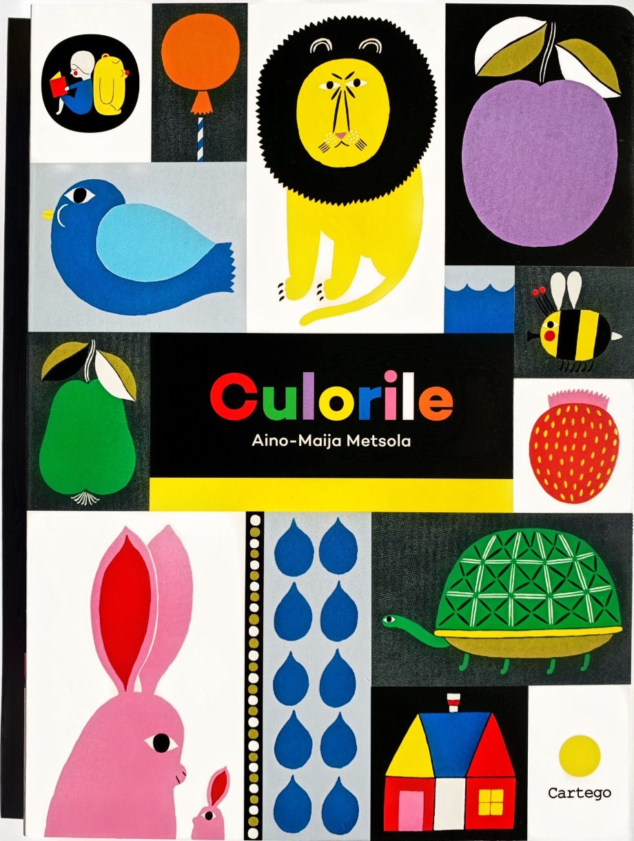 Cartea Culorile de Aino-Maija Metsola (9789975339803)