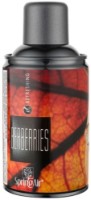 Освежитель Spring Air Berberries 250ml