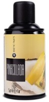 Освежитель Spring Air Pinacolada 250ml