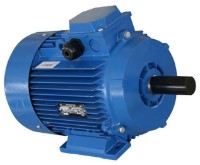 Motor electric Mogilevsk AIR 132 S 750 (10123811)