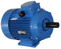 Motor electric Mogilevsk AIR 160 M 750 (10130811)