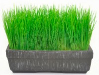 Декоративный цветок Casa Masa 20x23cm (8900302300)