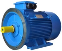 Motor electric Elmos Y2-200L-6