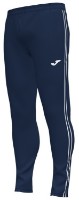 Мужские спортивные штаны Joma 101654.332 Dark Navy/White S