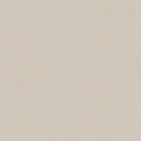 Обои A.S.Creation 36890-6 Premium