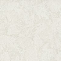 Обои A.S.Creation 38810-4 Perfect