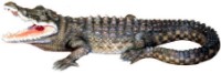 Садовая фигура Figuren Discounter Crocodile (3672)