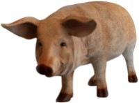 Садовая фигура Figuren Discounter Pig (z2164)