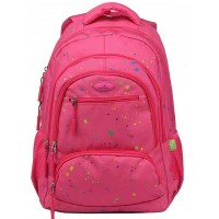 Школьный рюкзак Ecada (61417)