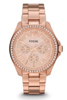 Ceas de mână Fossil AM4483