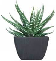 Декоративный цветок Casa Masa 10x12cm (8926401100)