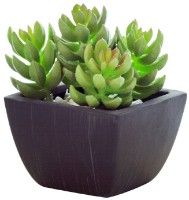 Декоративный цветок Casa Masa 10x14cm (8923800000)