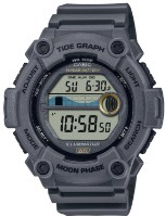 Наручные часы Casio WS-1300H-8A