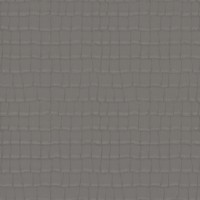 Обои Zambaiti Parati 80027 Philipp Plein