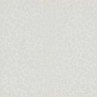 Tapete Zambaiti Parati 80041 Philipp Plein