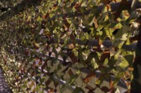 Искусственная изгородь Focteh Camo Green 21023 (2x3)