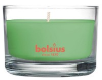 Lumânare Bolsius 101925256743