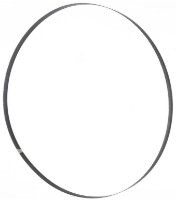 Полотно для пилы Holzmann BS350GSPNIRO 6/10