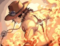 Картина по номерам PRC Pumn de Foc 30x40cm 02072