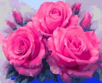 Картина по номерам PRC Trandafiri Roz 30x40cm 002027