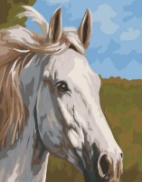 Картина по номерам PRC Cal Alb 40x50cm 03710