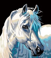 Картина по номерам PRC Calul Alb 40x50cm 03093
