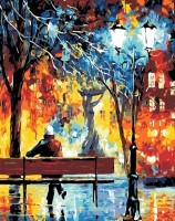 Картина по номерам PRC Insomnie 40x50cm 04052