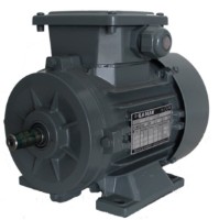 Motor electric GAMAK GM 250 (G5501503)