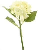 Декоративный цветок Casa Masa 48cm (L17307/CR)