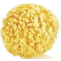 Губка детская BabyJem Sea Sponge (163)