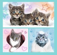 Пазл Trefl 3in1 Sweet Animals (34862)