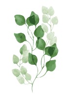 Картина по номерам PRC 40x50 (04960)