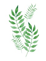 Картина по номерам PRC 40x50 (04977)